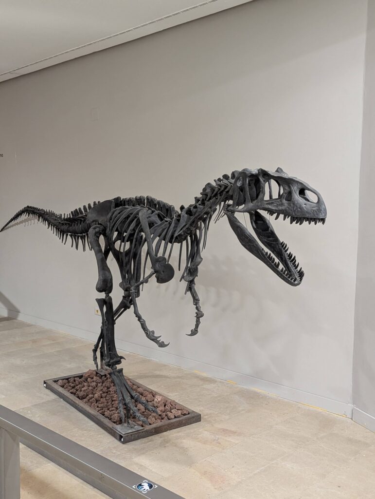 El Paleontològic - Museu de Collecions Naturals skelet dino